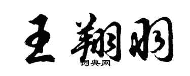 胡問遂王翔羽行書個性簽名怎么寫