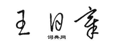 駱恆光王日章草書個性簽名怎么寫