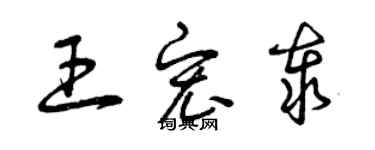 曾慶福王宏泰草書個性簽名怎么寫