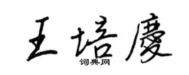 王正良王培慶行書個性簽名怎么寫