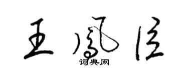 梁錦英王鳳臣草書個性簽名怎么寫