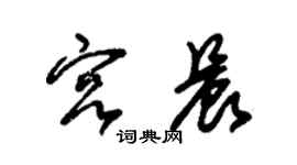 朱錫榮宮晨草書個性簽名怎么寫