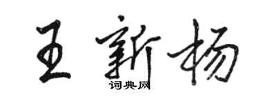 駱恆光王新楊行書個性簽名怎么寫