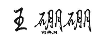 駱恆光王硼硼行書個性簽名怎么寫