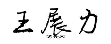 曾慶福王展力行書個性簽名怎么寫