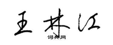 梁錦英王林江草書個性簽名怎么寫