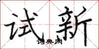 駱恆光試新楷書怎么寫