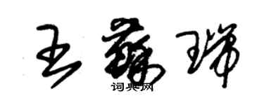 朱錫榮王蘇瑞草書個性簽名怎么寫