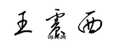 梁錦英王震西草書個性簽名怎么寫