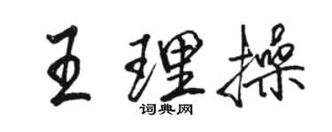 駱恆光王理操行書個性簽名怎么寫