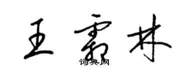 梁錦英王霜林草書個性簽名怎么寫