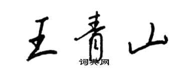 王正良王青山行書個性簽名怎么寫