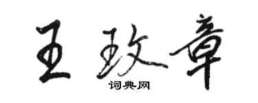 駱恆光王玫章行書個性簽名怎么寫