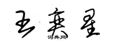 朱錫榮王奕星草書個性簽名怎么寫