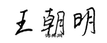 王正良王朝明行書個性簽名怎么寫