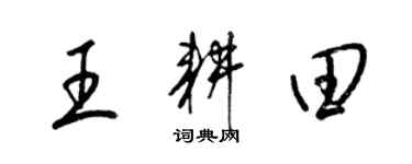 梁錦英王耕田草書個性簽名怎么寫