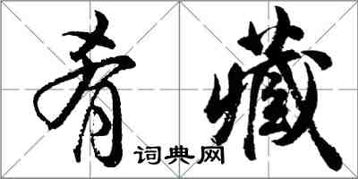 胡問遂餚藏行書怎么寫