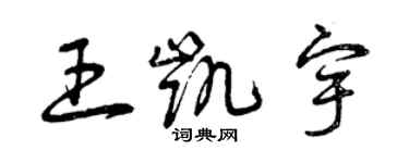 曾慶福王凱宇草書個性簽名怎么寫