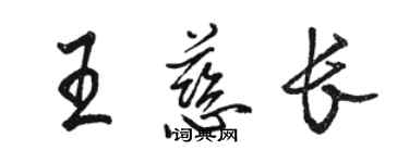 駱恆光王慈長行書個性簽名怎么寫
