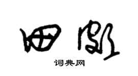 朱錫榮田頗草書個性簽名怎么寫