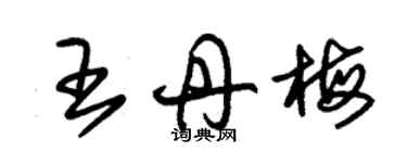 朱錫榮王丹梅草書個性簽名怎么寫