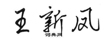 駱恆光王新鳳行書個性簽名怎么寫