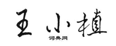駱恆光王小植行書個性簽名怎么寫