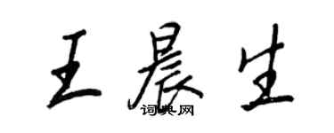 王正良王晨生行書個性簽名怎么寫