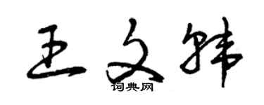曾慶福王文韓草書個性簽名怎么寫