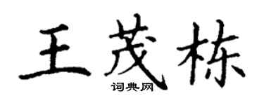 丁謙王茂棟楷書個性簽名怎么寫