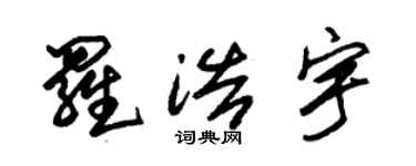 朱錫榮羅浩宇草書個性簽名怎么寫