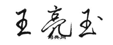 駱恆光王亮玉行書個性簽名怎么寫
