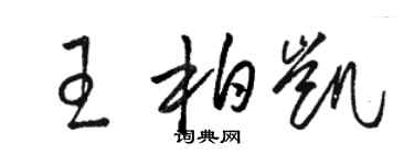 駱恆光王柏凱草書個性簽名怎么寫