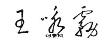 駱恆光王詠霧草書個性簽名怎么寫