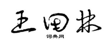 曾慶福王田林草書個性簽名怎么寫