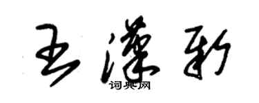 朱錫榮王漢新草書個性簽名怎么寫