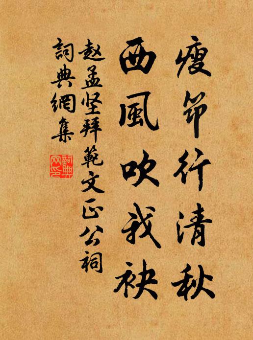 廣裁衫袖長制裙,金斗熨波刀剪紋 詩詞名句