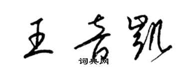 梁錦英王音凱草書個性簽名怎么寫