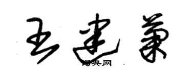 朱錫榮王建菊草書個性簽名怎么寫