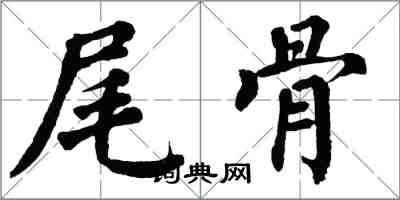 翁闓運尾骨楷書怎么寫