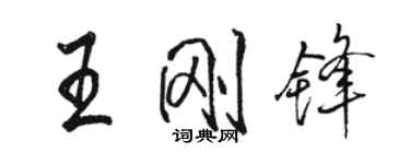 駱恆光王剛鋒行書個性簽名怎么寫