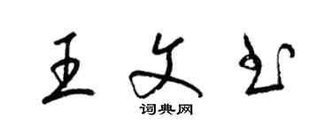 梁錦英王文書草書個性簽名怎么寫