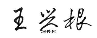 駱恆光王興根行書個性簽名怎么寫