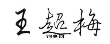 駱恆光王超梅行書個性簽名怎么寫