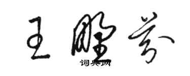 駱恆光王野芬草書個性簽名怎么寫