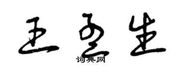 曾慶福王孟生草書個性簽名怎么寫