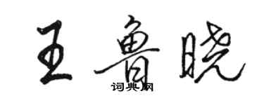 駱恆光王魯曉行書個性簽名怎么寫