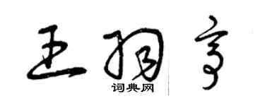 曾慶福王羽亭草書個性簽名怎么寫