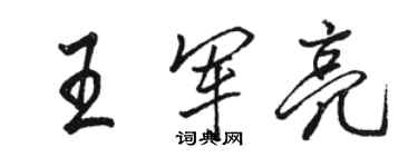 駱恆光王軍亮行書個性簽名怎么寫