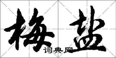 胡問遂梅鹽行書怎么寫